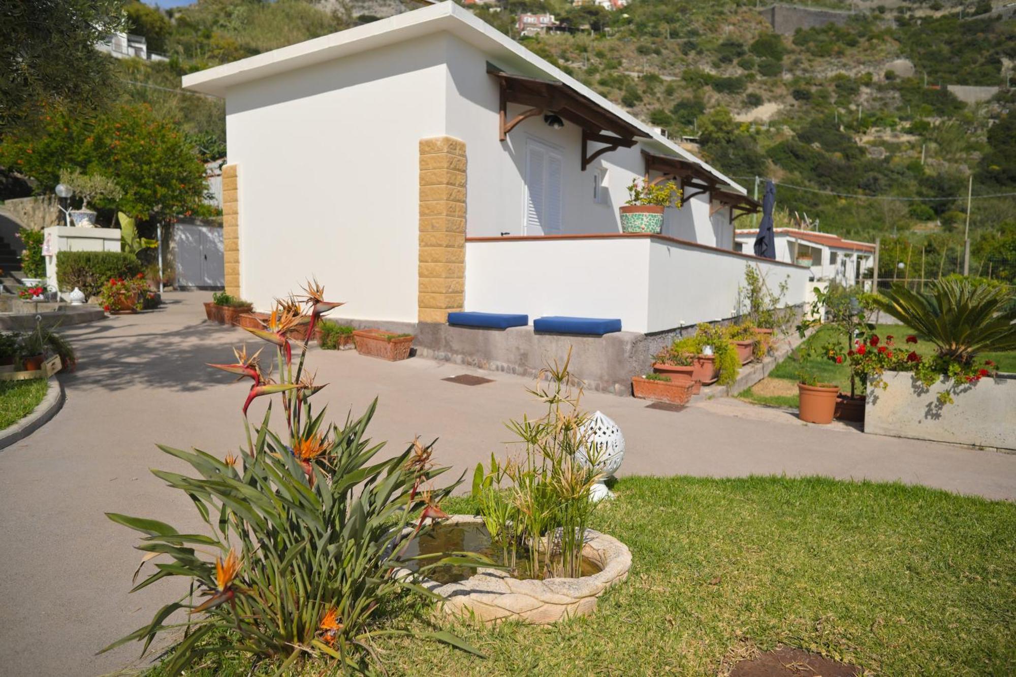 Blu Maronti Apartment Barano d'Ischia Exterior photo